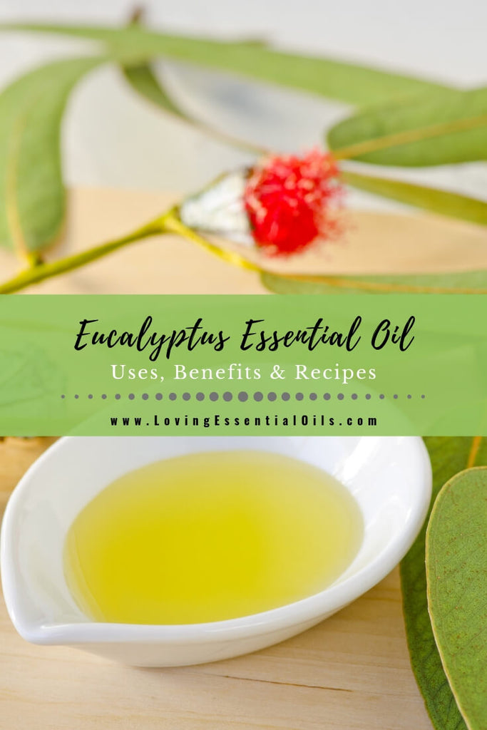 Eucalyptus Oil Uses, Benefits & Recipes - EO Spotlight by Loving Essential Oils