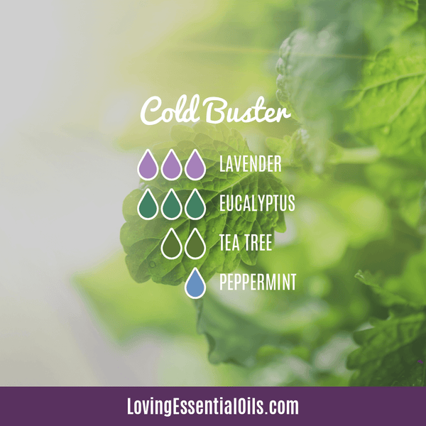 Eucalyptus Essential Oil Uses and Benefits Spotlight | Cold Buster Diffuser Blend by Loving Essential Oils