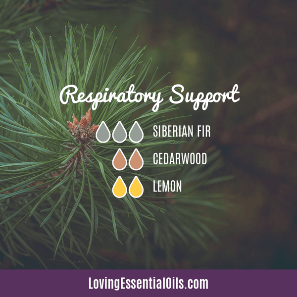 Evergreen Essential Oil Benefits - Respiratory Support cold & Flue Diffuser Blend by Loving Essential Oils