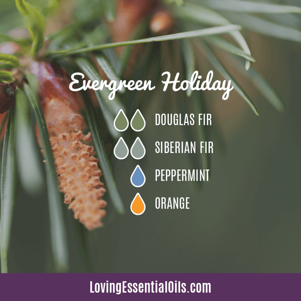 Evergreen Essential Oil Diffuser Blends by Loving Essential Oils | Evergreen Holiday with douglas fir, siberian fir, peppermint, and orange
