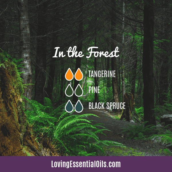 Evergreen Essential Oil Diffuser Recipes - In the Forest Blend by Loving Essential Oils
