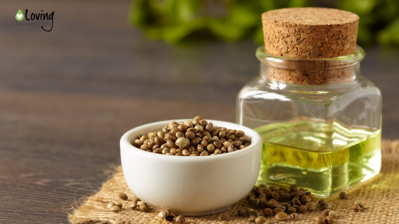 Is hemp seed oil a carrier oil? by Loving Essential Oils | Carrier Oil Spotlight 