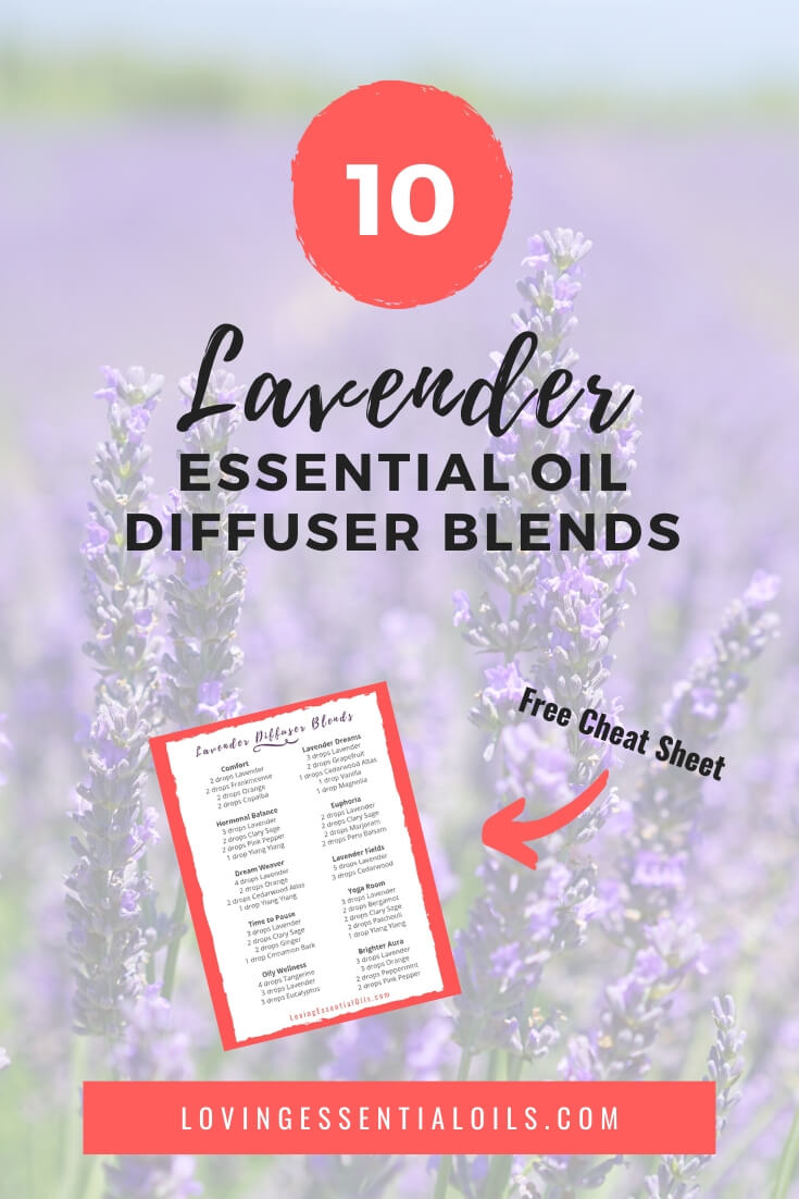 Lavender Essential Oil Diffuser Blends & Recipes - Get the FREE Printable Cheat Sheet too! by Loving Essential Oils