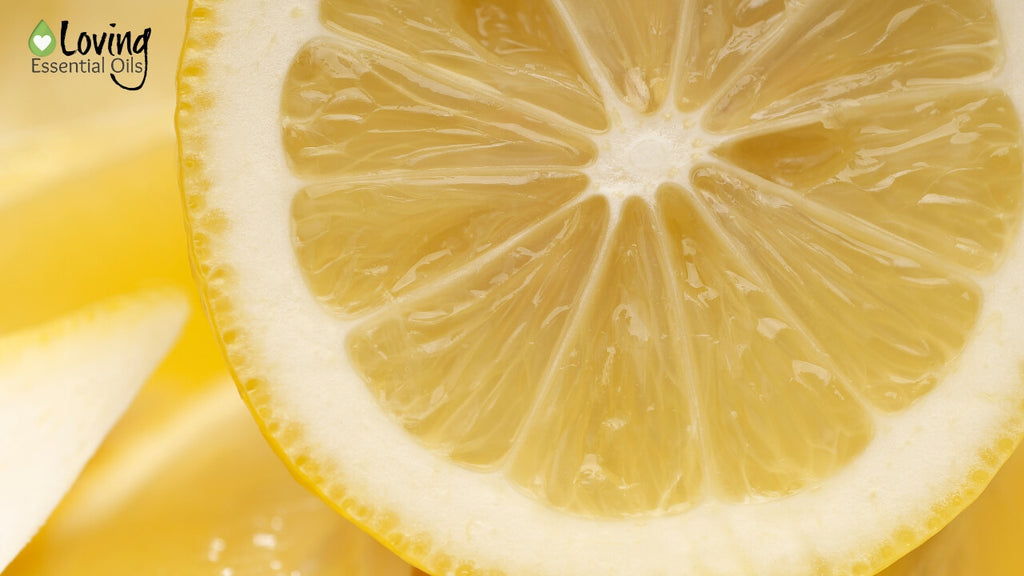 Lavender and lemon essential oil diffuser blends - Free Printable by Loving Essential Oils | Lemon Essential Oil Benefits