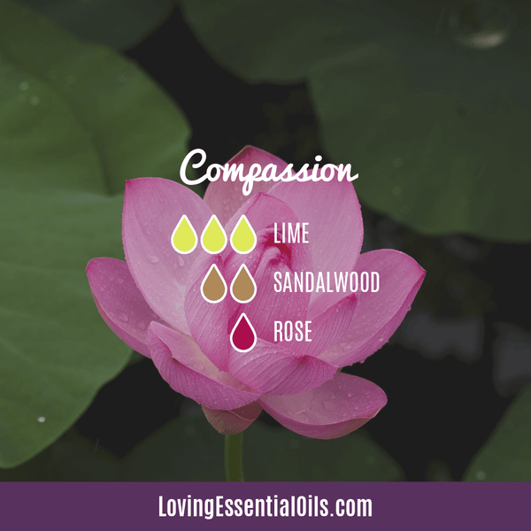 Meditation Essential Oil Diffuser Blend for Compassion with Lime, Sandalwood, and Rose by Loving Essential Oils