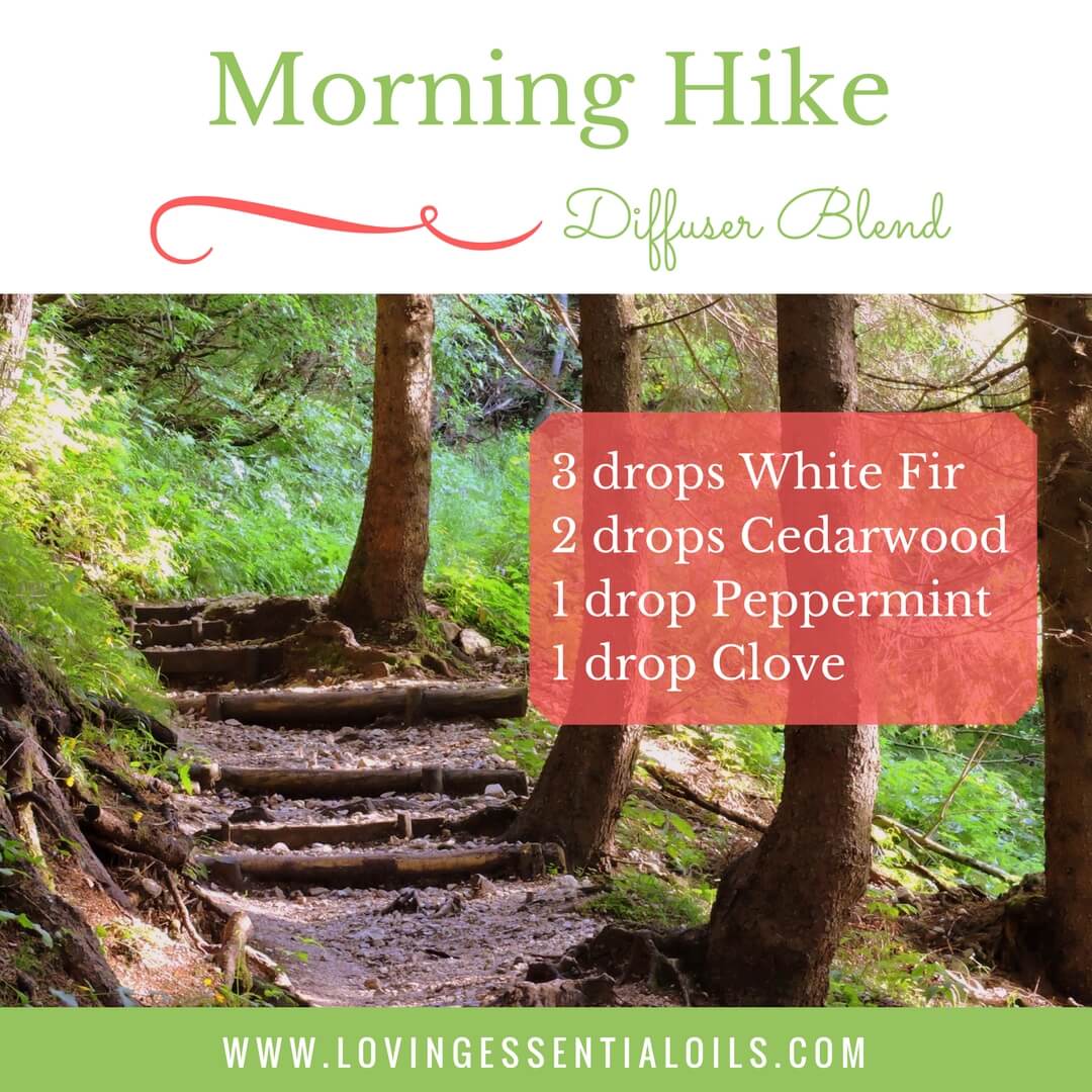 Morning Hike Spring Diffuser Blend with 3 drops white fir, 2 drops cedarwood, 1 drop peppermint and 1 drop clove essential oil by Loving Essential Oils