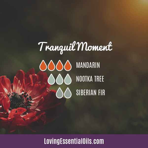 Nootka Tree Diffuser Blend - Tranquil Moment by Loving Essential Oils