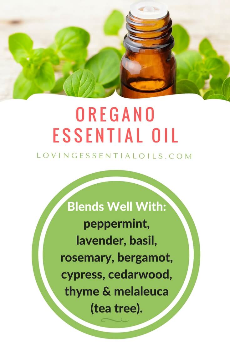 Oregano Essential Oil blends well with these essential oils! by Loving Essential Oils