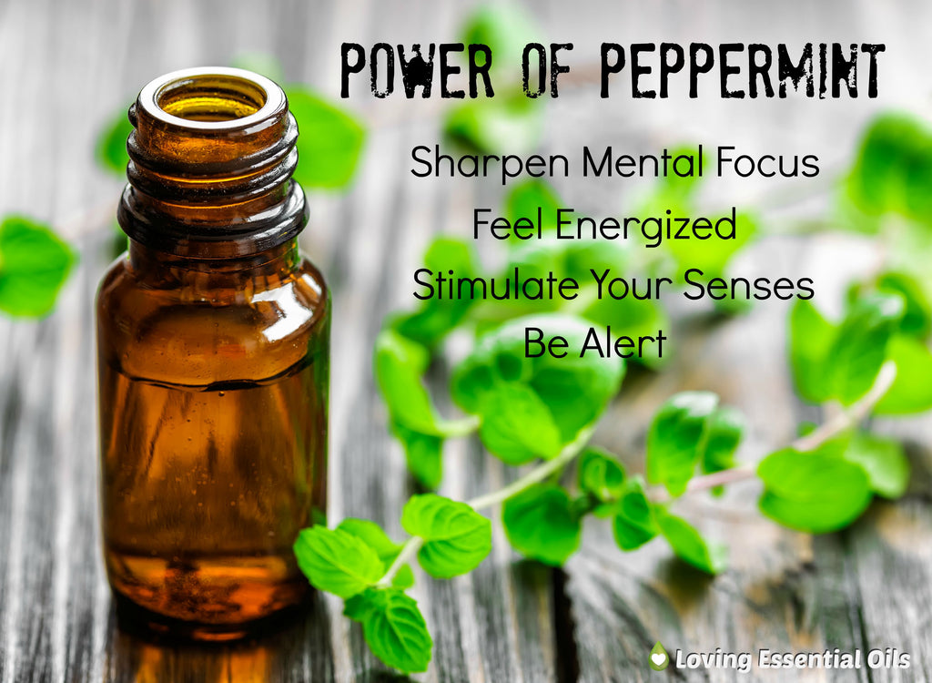 Peppermint Aromatherapy Scent and Benefits by Loving Essential Oils