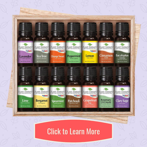 Essential Oils Set from Plant Therapy - Loving Essential Oils