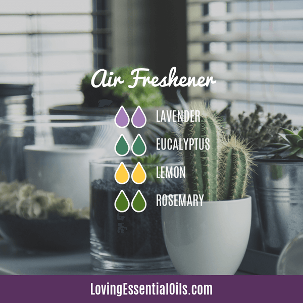purifying essential oil blends - air freshener diffuser blend