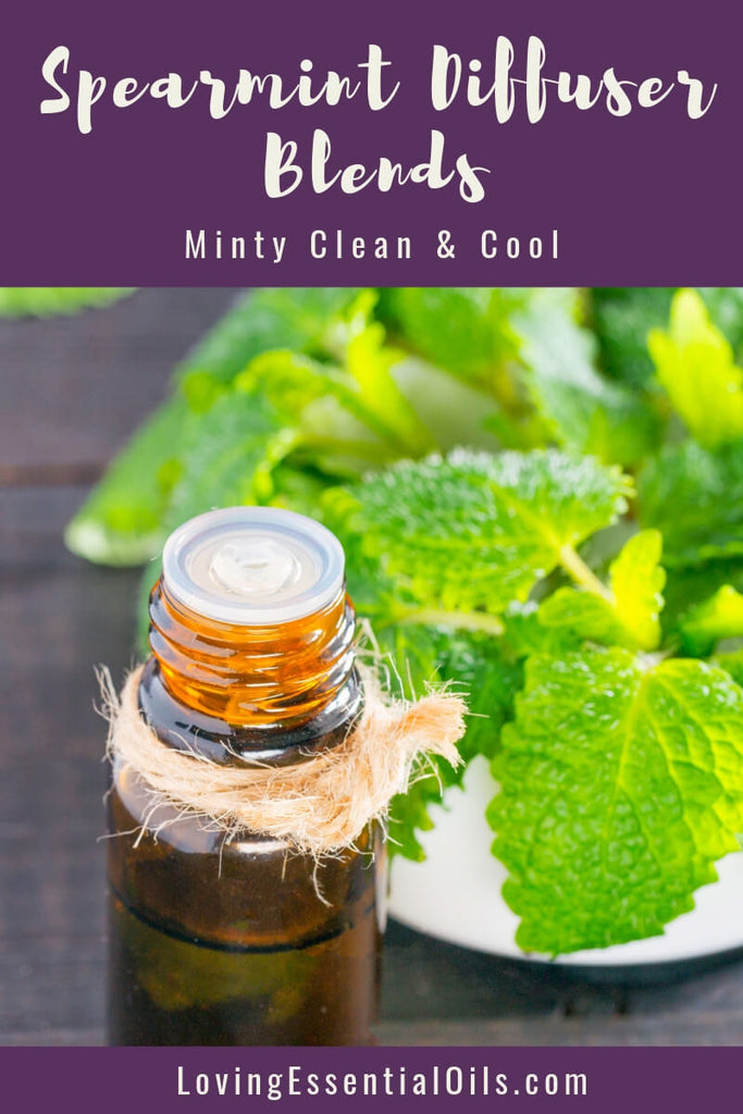 Spearmint Essential Oil Blends Well With by Loving Essential Oils | Find out the best spearmint oil diffuser blendsto make at home to enhance the scent of your home!