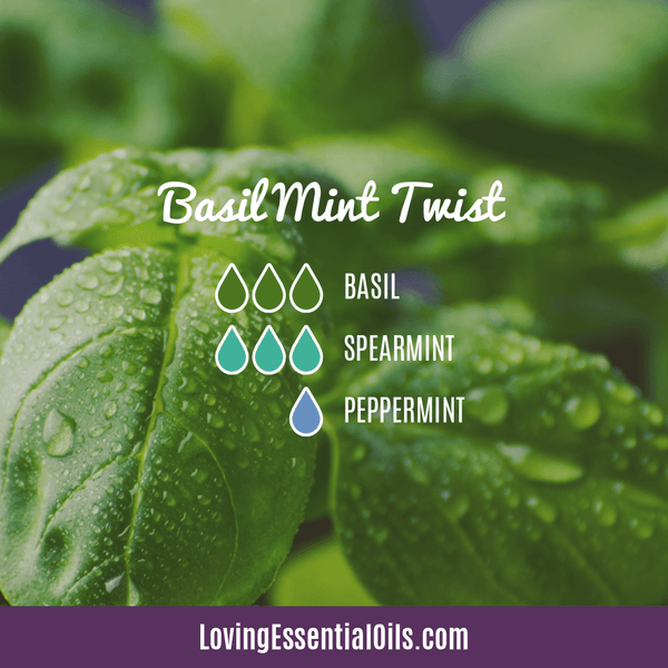 Spearmint Essential Oil Diffuser Recipes by Loving Essential Oils | Basil Mint Twist with basil, spearmint, and peppermint 