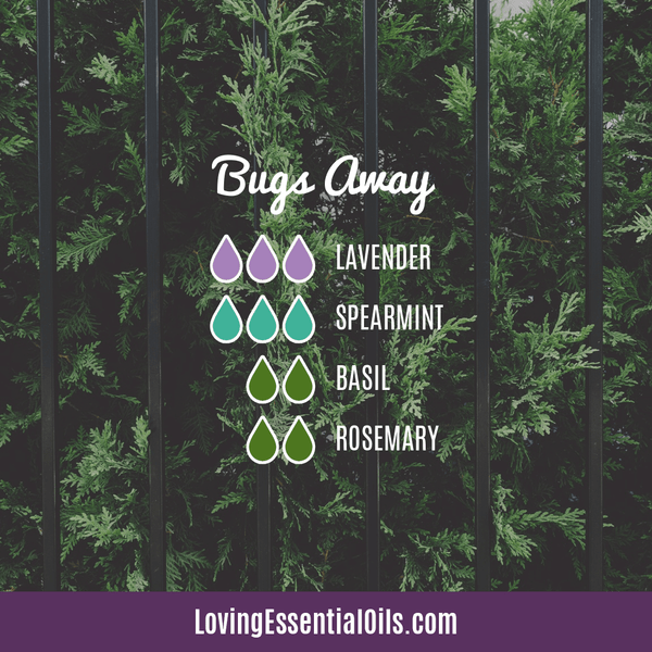 Spearmint Essential Oil Diffuser Benefits by Loving Essential Oils | Bugs Away with lavender, spearmint, basil and rosemary