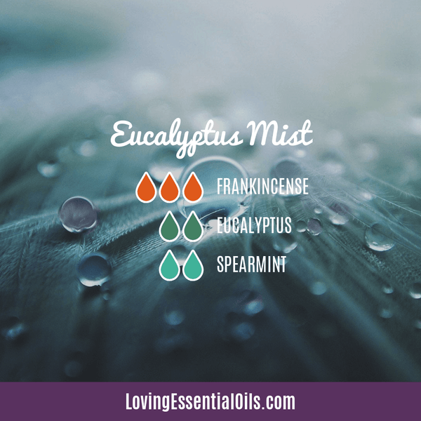 Eucalyptus Spearmint Essential Oil Blend by Loving Essential Oils | Eucalyptus Mist with frankincense, eucalyptus, and spearmint