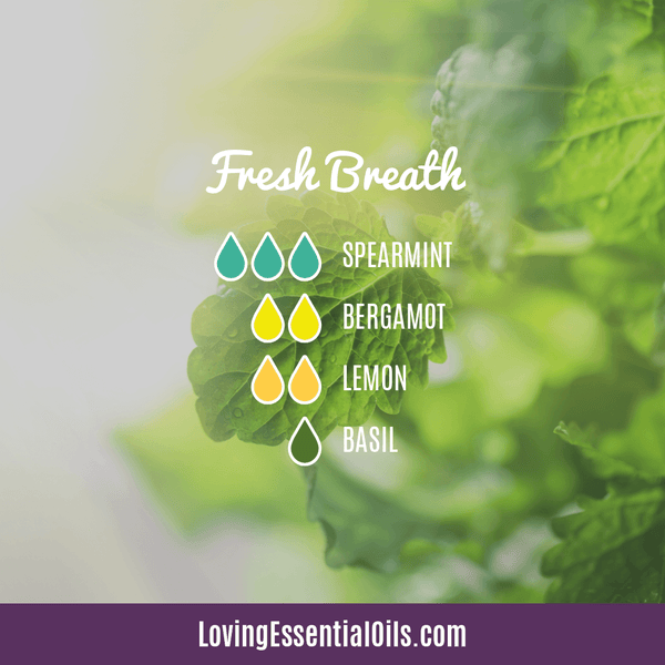 Spearmint Diffuser Recipes by Loving Essential Oils | Fresh Breath with spearmint, bergamot, lemon, and basil