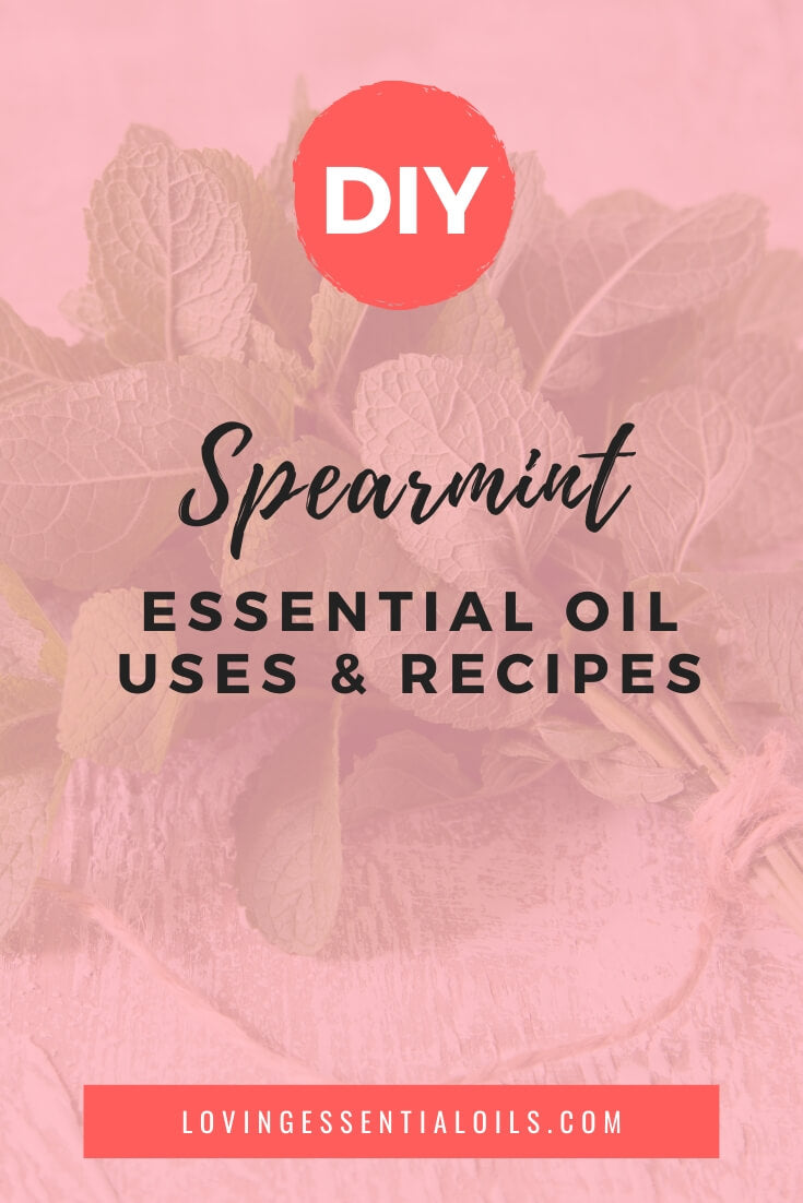 Spearmint Essential Oil Uses and Recipes by Loving Essential Oils