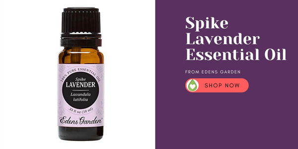 Spike Lavender Essential Oil from Edens Garden