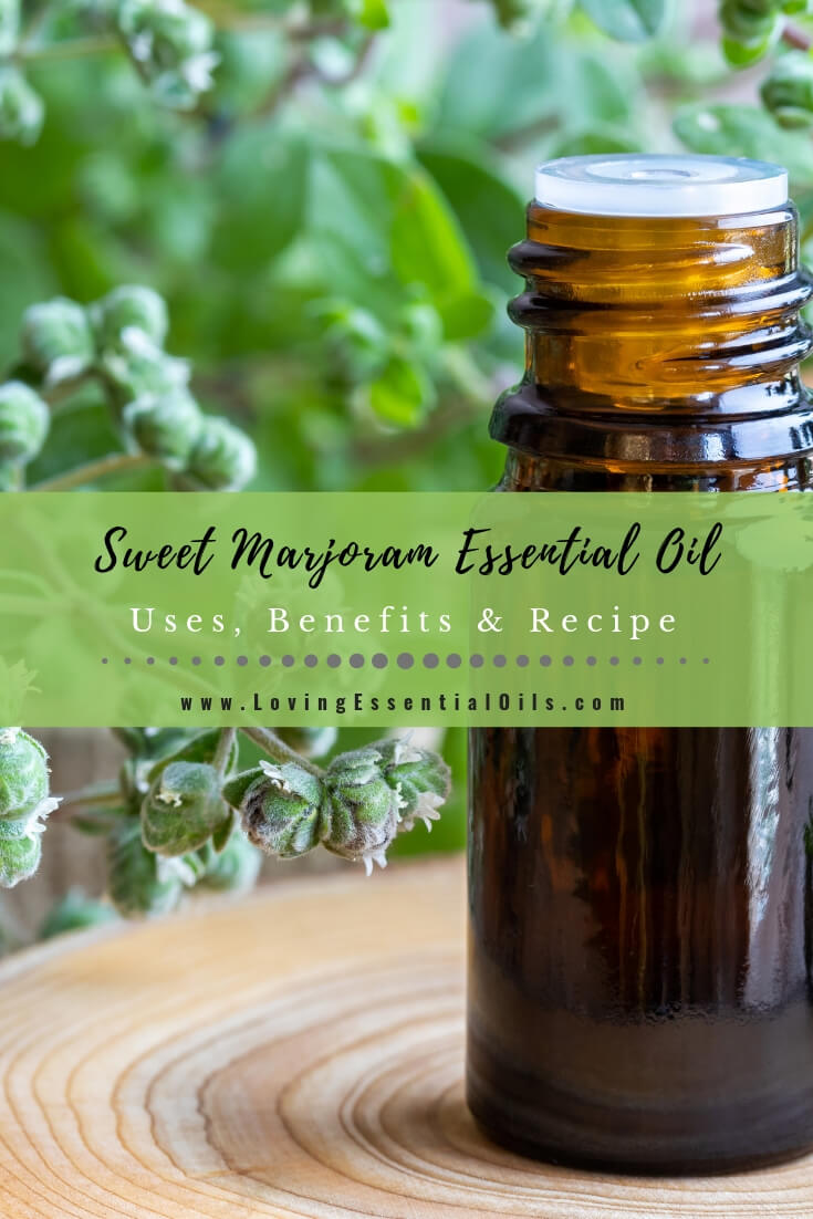 Sweet Marjoram Essential Oil Recipes Spotlight Guide by Loving Essential Oils