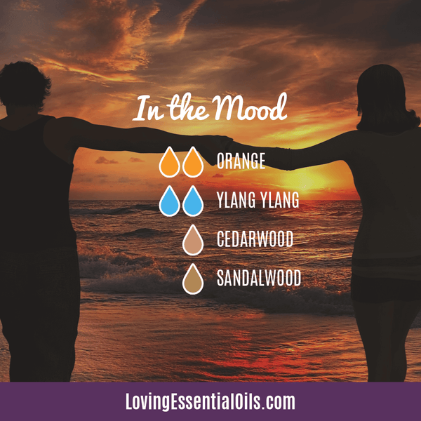Valentine's Day Essential Oil Blends - In the Mood byLoving Essential Oils