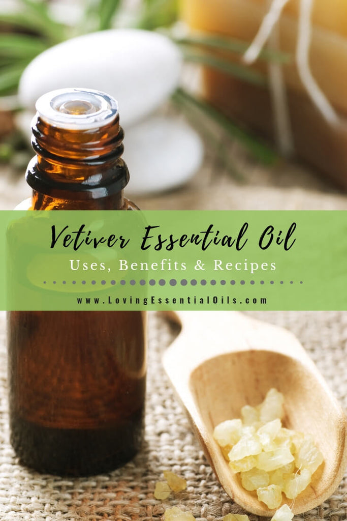 Vetiver Essential Oil Uses and Recipes - EO Spotlight by Loving Essential Oils