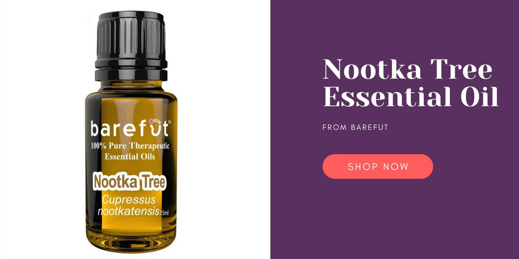 Where to buy nootka tree essential oil barefut