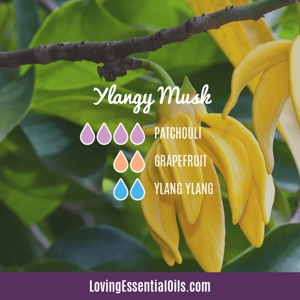 Ylang Ylang Diffuser Recipe - Encourages Euphoria & Joy! by Loving Essential Oils | Ylangy Musk with patchouli, grapefruit, and ylang ylang