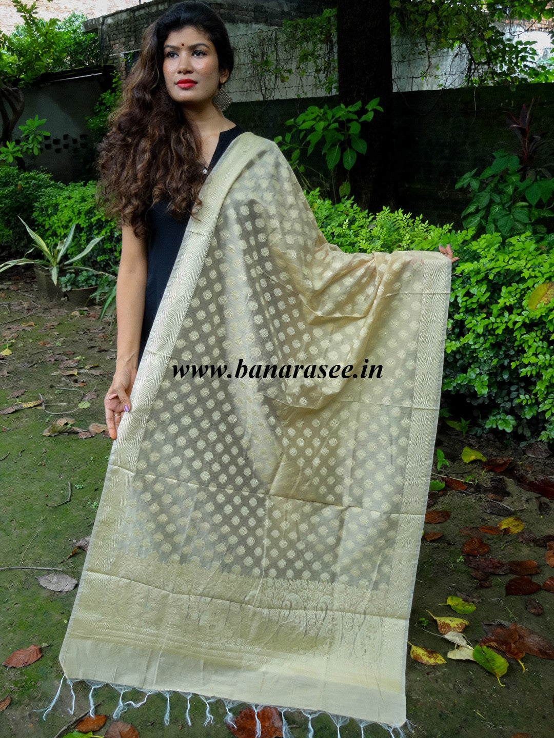 Banarasee/ Banarasi Cotton Silk Mix Resham Work Dupatta-Off White