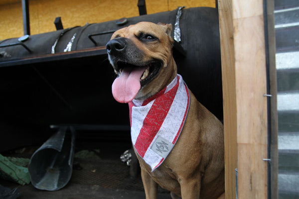 Vintage Dog Bandana