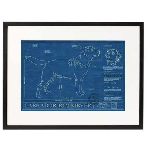 dog blueprints_dog photos_gifts 