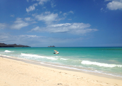 Sherwoods Beach Waimanalo