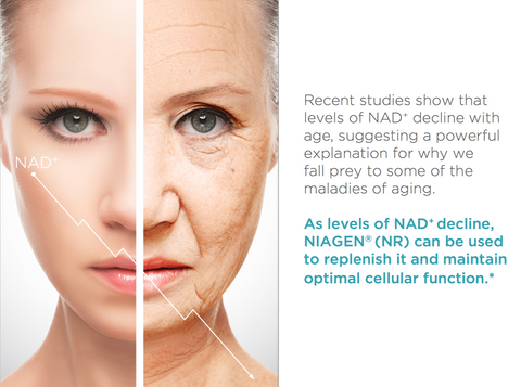 NAD decreases with age - Tru Niagen can replenish it