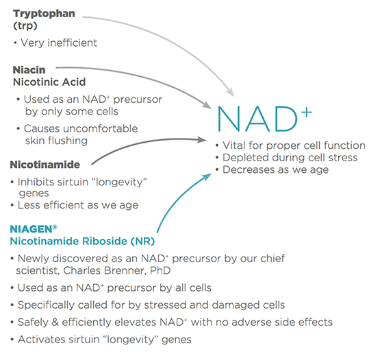 Healthspan