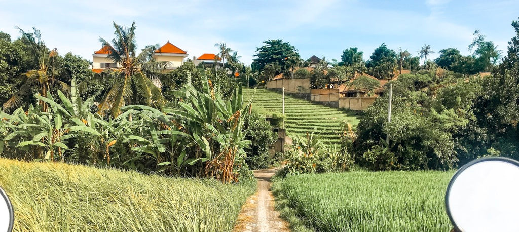 Where to Stay in Canggu Bali? Berawa or Batu Bolong?