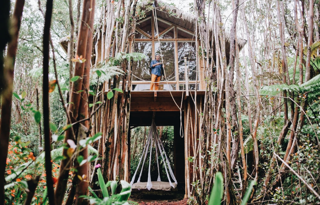 Dreamy Tropical Tree house in Hawai on Air B n B 