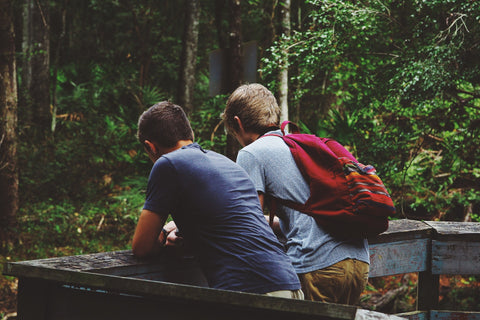 two friends in the woods