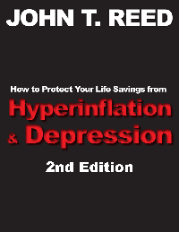 How to Protect Your Life Savings from Hyperinflation & Depression book
