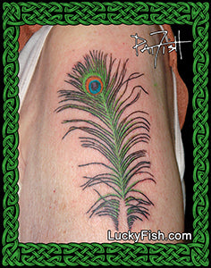 Peacock Feather Tattoo Design – LuckyFish Art