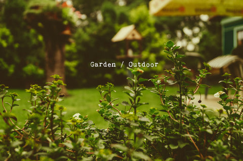 Garden and Outdoor