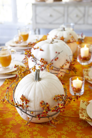 Decorate For Thanksgiving With Fall Colors | AGM Home Store