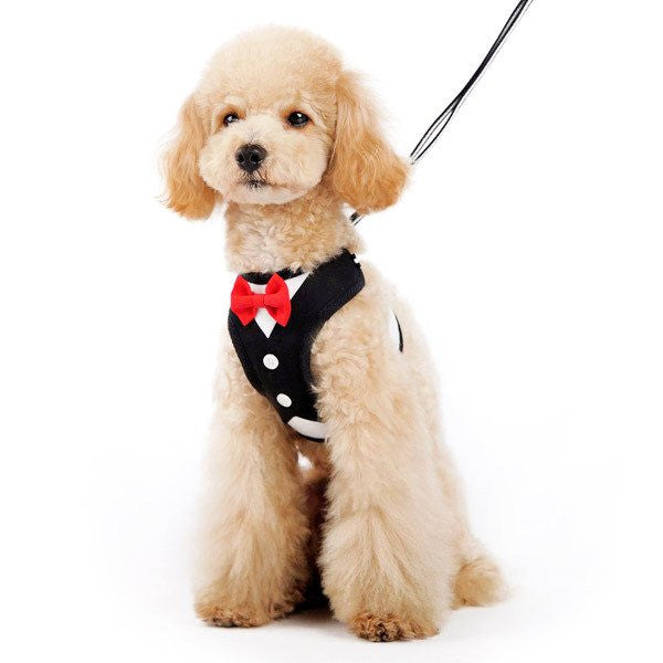 EasyGO Tuxedo Harness with Leash Puppy's Home 