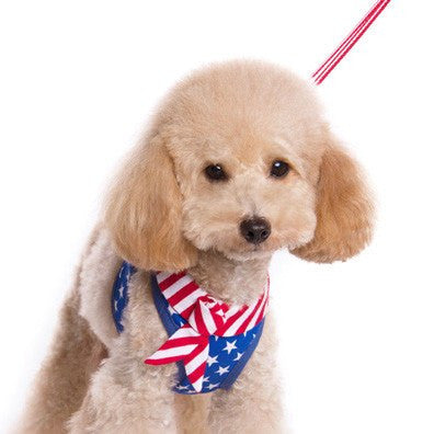 USA American Harness with Leash Puppy's Home 