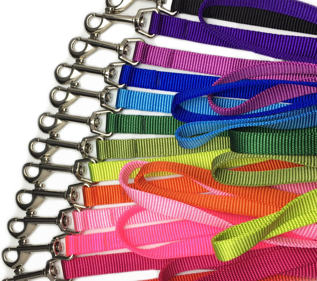 Nylon Dog Leash- 5/8