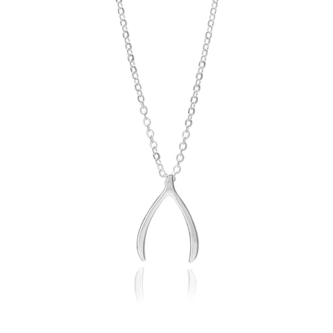 silver necklace