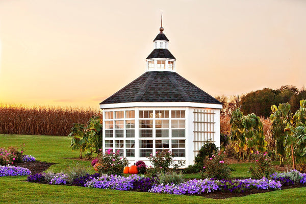 The Garden Shed Greenhouse 12' x 12' â€