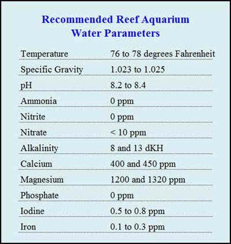 Recommended Reef Aquariums Parameters