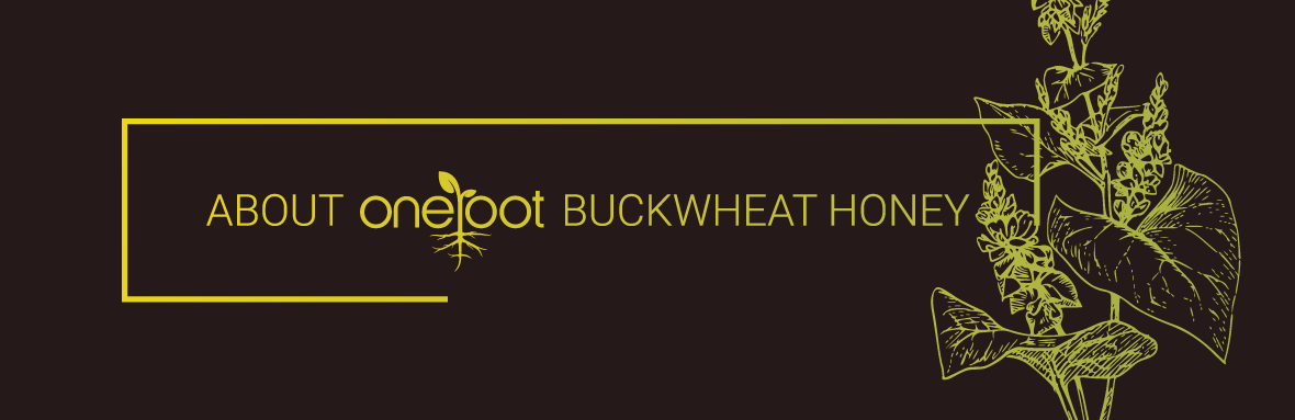 buckwheat honey