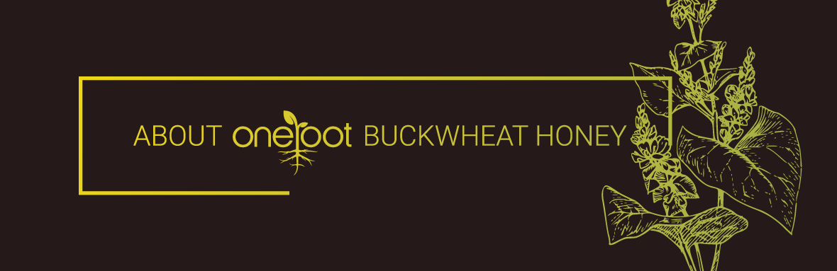shop buckwheat honey online in Canada
