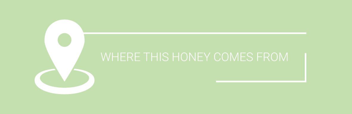 shop buckwheat honey online in Canada - where this honey comes from