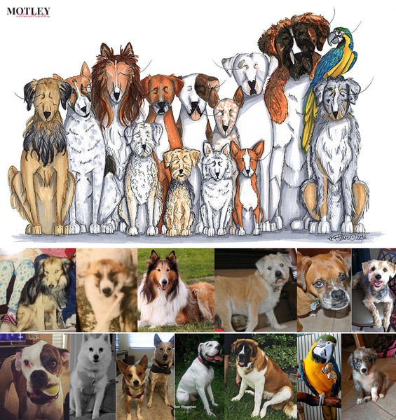 before and after custom dog illustration